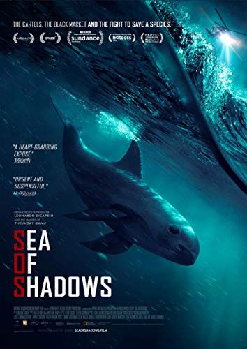 Sea of Shadows online film