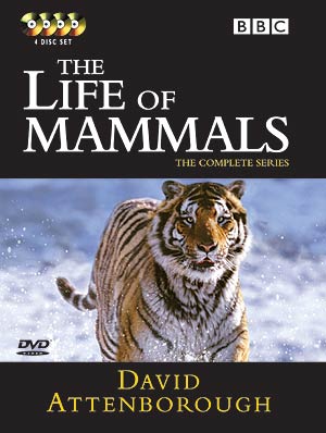 David Attenborough - Az emlősök élete - 1. évad online film