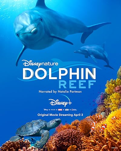 Dolphin Reef online film