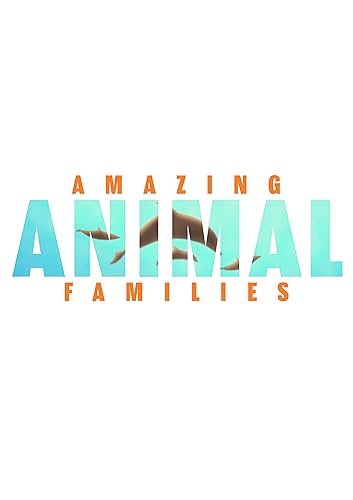 Csodálatos állatcsaládok - 1. évad online film