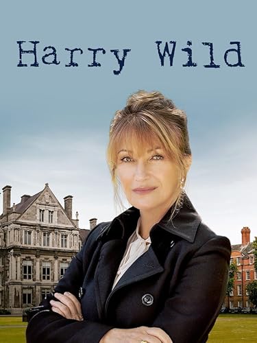 Harry Wild - 2. évad online film