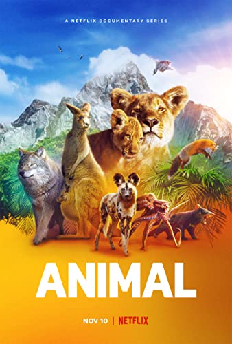 Állati természet - 1. évad online film
