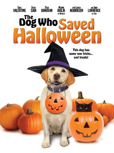 A kutya, aki megmentette a Halloweent online film