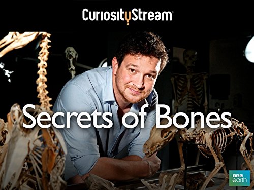 Secrets of Bones - 1. évad online film