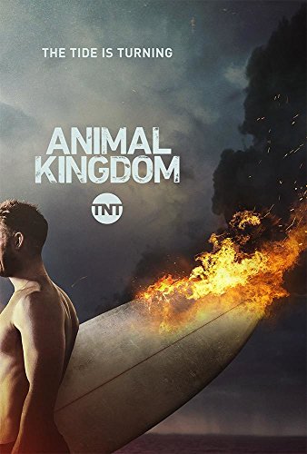 Animal Kingdom - 5. évad online film