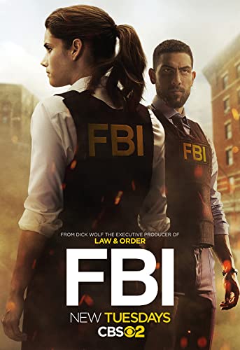 FBI - New York különleges ügynökei - 2. évad online film